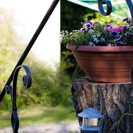 Апартаменты Duenenblick 02 Аренсхоп