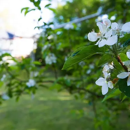 Lägenhet Duenenblick 02